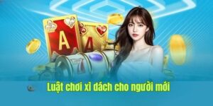 Cách Chơi Bài Xì Dách - Quy Trình Cá Cược Hấp Dẫn Tại Sin88 3 Tìm hiểu về luật chia bài trong cá cược xì dách