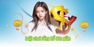 Cách Chơi Rồng Hổ - Khám Phá Các Quy Luật Cá Cược Tại Sin88 2 Tìm hiểu về quy luật cơ bản trong cách chơi rồng hổ