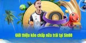 Kèo Chấp Nữa Trái Là Gì? Cách Chơi Và Mẹo Hay Tại Sin88  5 Kèo chấp nữa trái tại Sin88 là gì?
